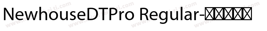 NewhouseDTPro Regular字体转换